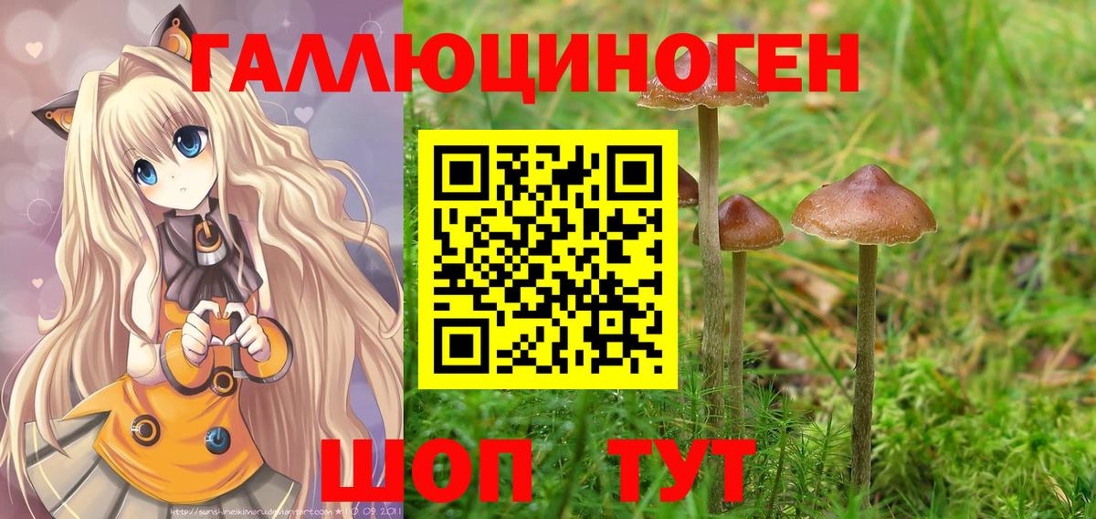 Галлюциногенные грибы мицелий  Галлюциногенные грибы MAGIC MUSHROOMS  Вход с VPN  наркошоп  Строитель 